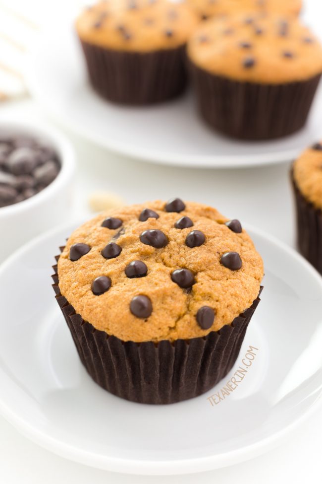 These Paleo Chocolate Chip Muffins have a great texture similar to angel food cake! With a how-to recipe video.