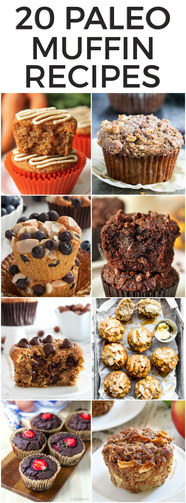 Paleo Muffin Recipes