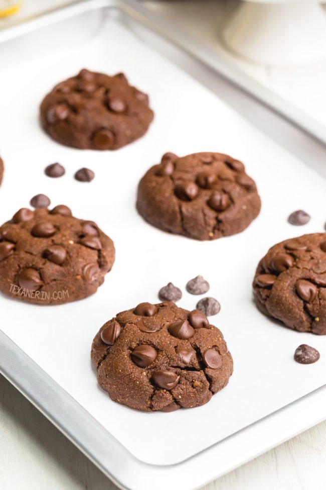 These easy chocolate coconut flour cookies have the perfect texture and taste just like regular double chocolate cookies! This recipe is paleo with vegan and keto options. With a how-to recipe video.