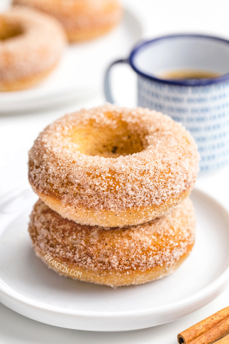 Gluten-free Cinnamon Sugar Donuts - Texanerin Baking
