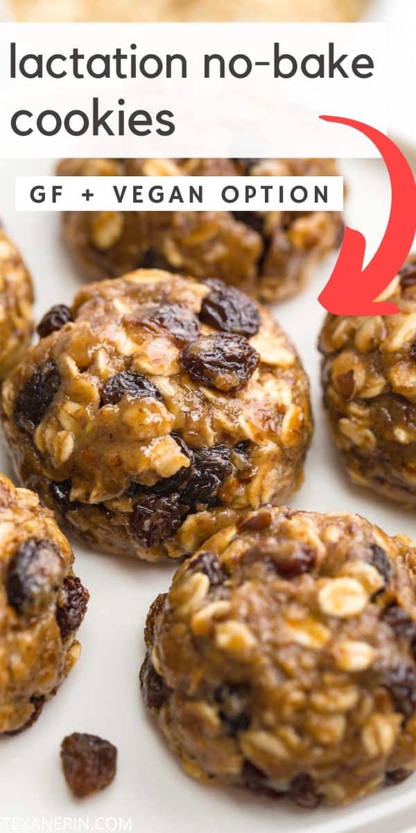 Easy no-bake lactation cookies that are actually delicious and don't take much time to throw together! They can be made gluten-free and vegan and they're also 100% whole grain. 