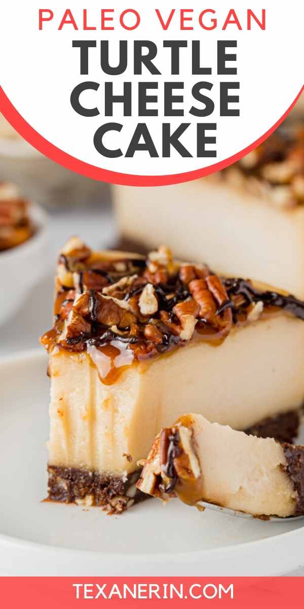 This paleo vegan turtle cheesecake is rich, creamy and won't leave you missing the dairy! It's also no-bake and perfect for Christmas.