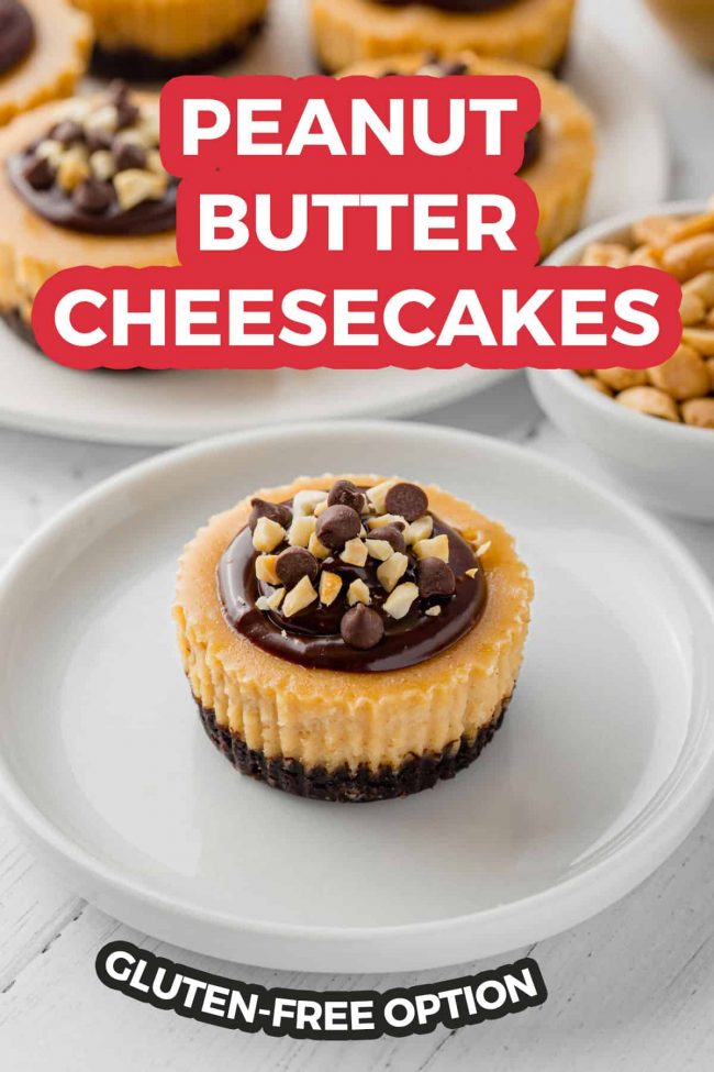 These amazing mini peanut butter cheesecakes are made a little healthier with natural peanut butter and honey and the crusts can be made gluten-free, whole wheat or with all-purpose flour!