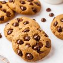 Almond Flour Chocolate Chip Cookies (great texture! keto, vegan options)