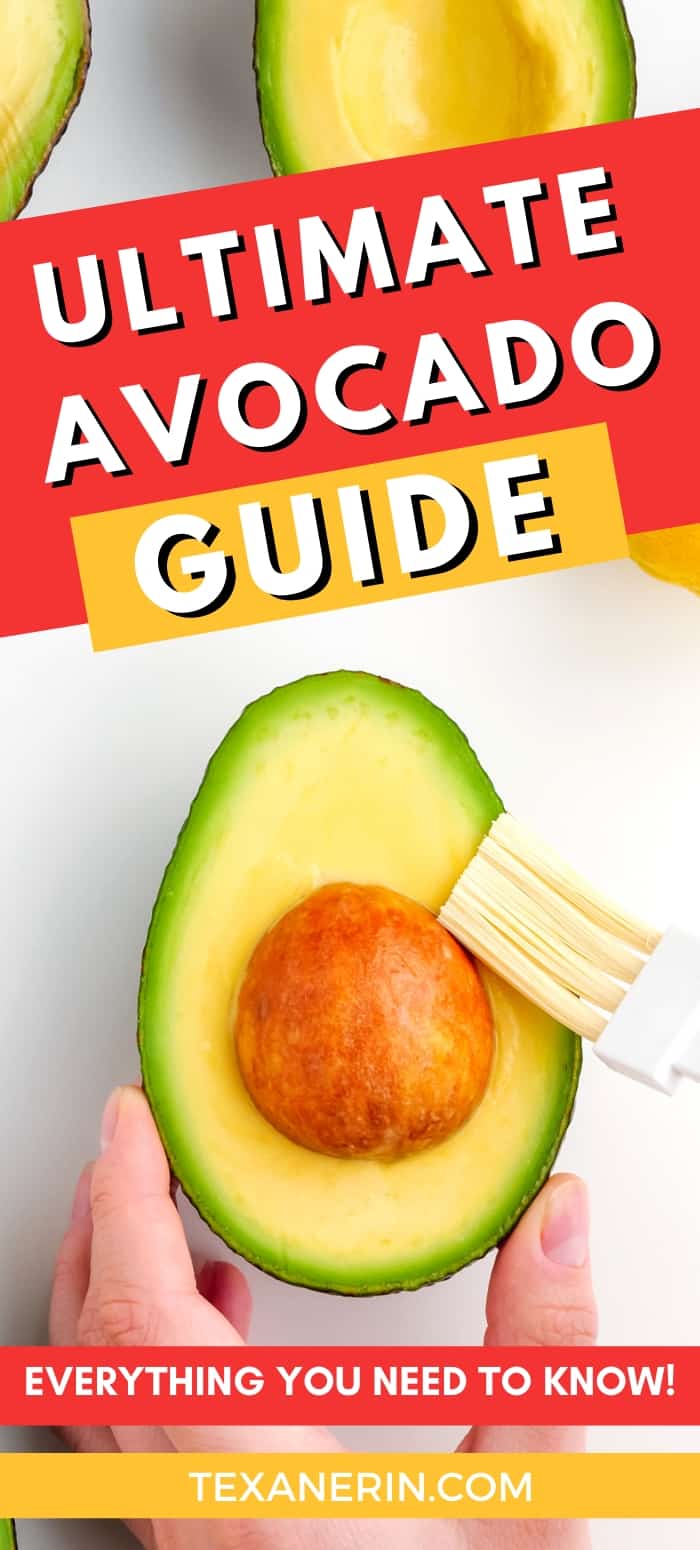 The Ultimate Avocado Guide - from how to pick an avocado, how to cut avocados, how to store avocados and how to use avocados.