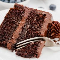 Slice of Dairy-free Chocolate Cake