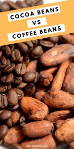 pin image of cocoa beans and coffee beans together and a text saying cocoa beans vs coffee beans