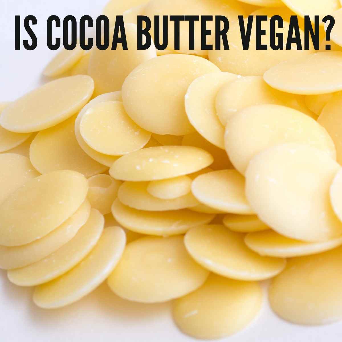 Is Cocoa Butter Vegan Texanerin Baking