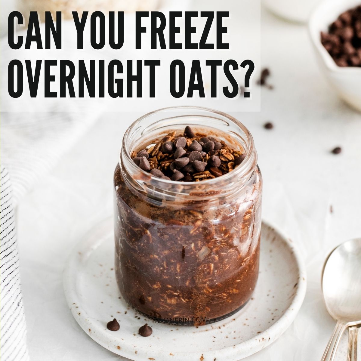 Can You Freeze Overnight Oats? Texanerin Baking