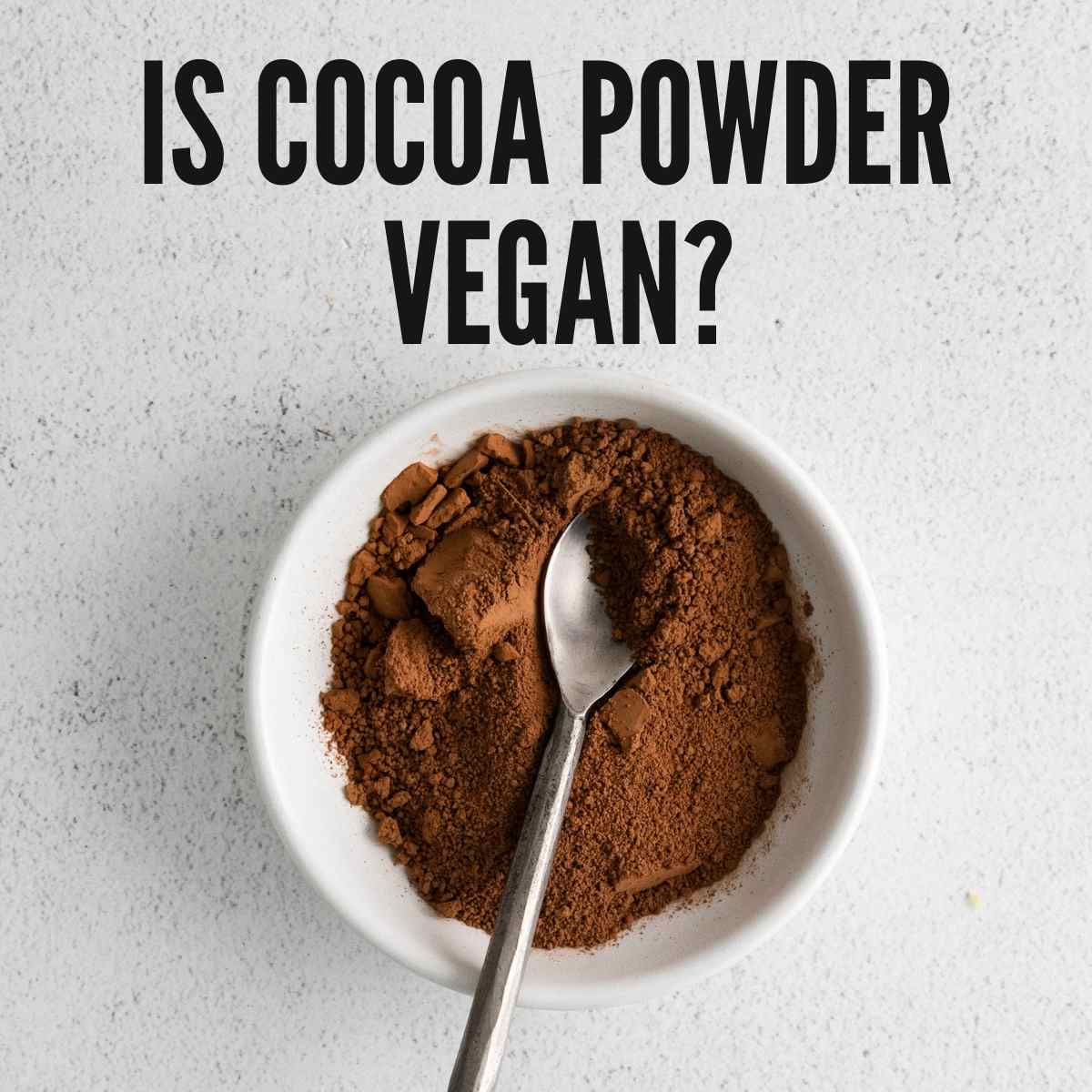 Vegan Cocoa Powder & Baking Cocoa