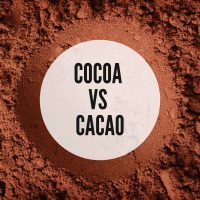 picture of cocoa powder in a bowl and and a text saying cocoa vs cacao