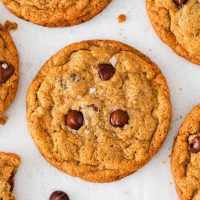 closeup photo of an oat flour cookie with chocolate chips