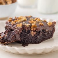 photo of a piece of a super moist chocolate walnut cake topped with loads of toasty walnuts