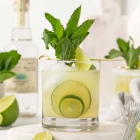 A bright photo of a glass of mint margarita garnished with a fresh mint sprig and lime wheels.