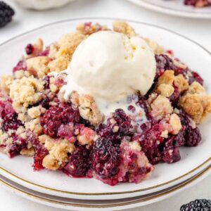close-up of blackberry crumble on a white plate with a scoop of vanilla ice cream on top